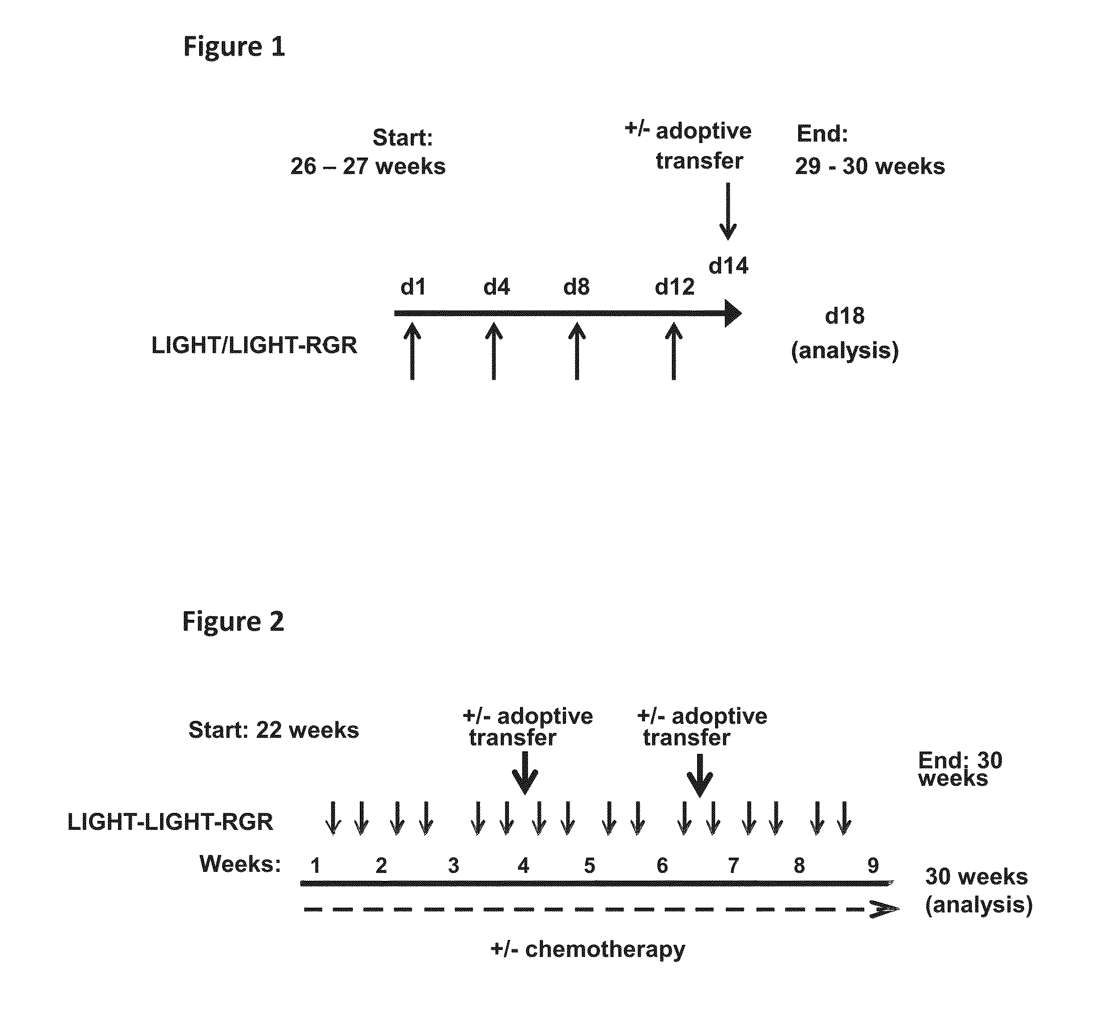 Treatment of tumours using peptide-protein conjugates