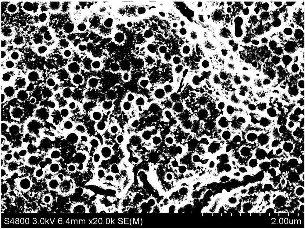 Method for processing computing microphase characteristic of ceramic glaze SEM image by using structure array