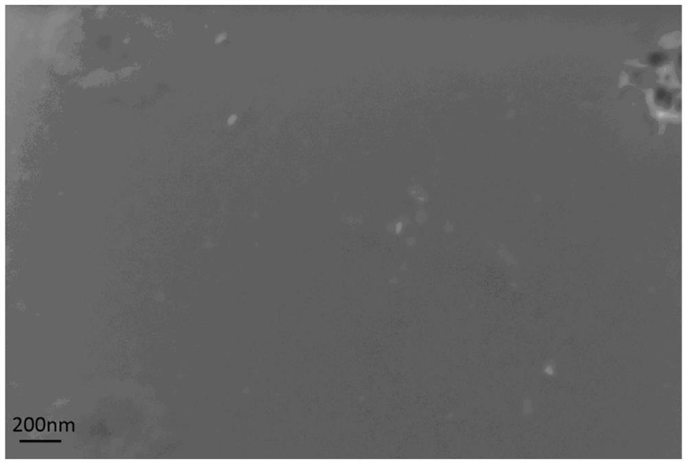 Zinc electrode, and preparation method and application thereof