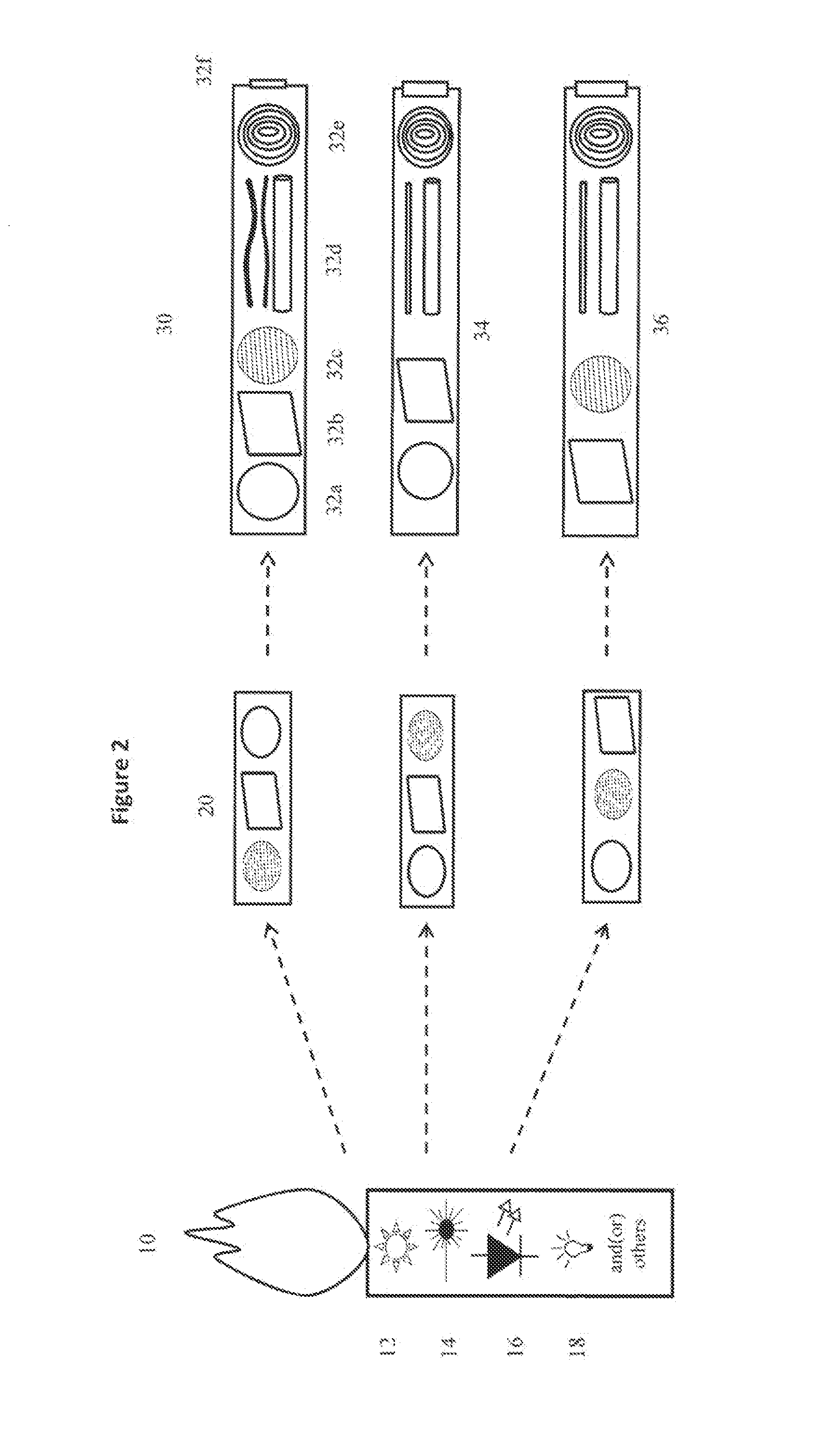 Apparatus and method for optimizing data capture and data correction for spectroscopic analysis