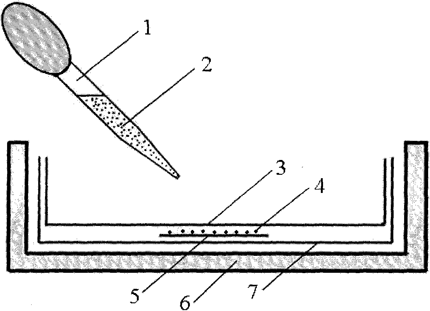 Method for AMF spore surface disinfection