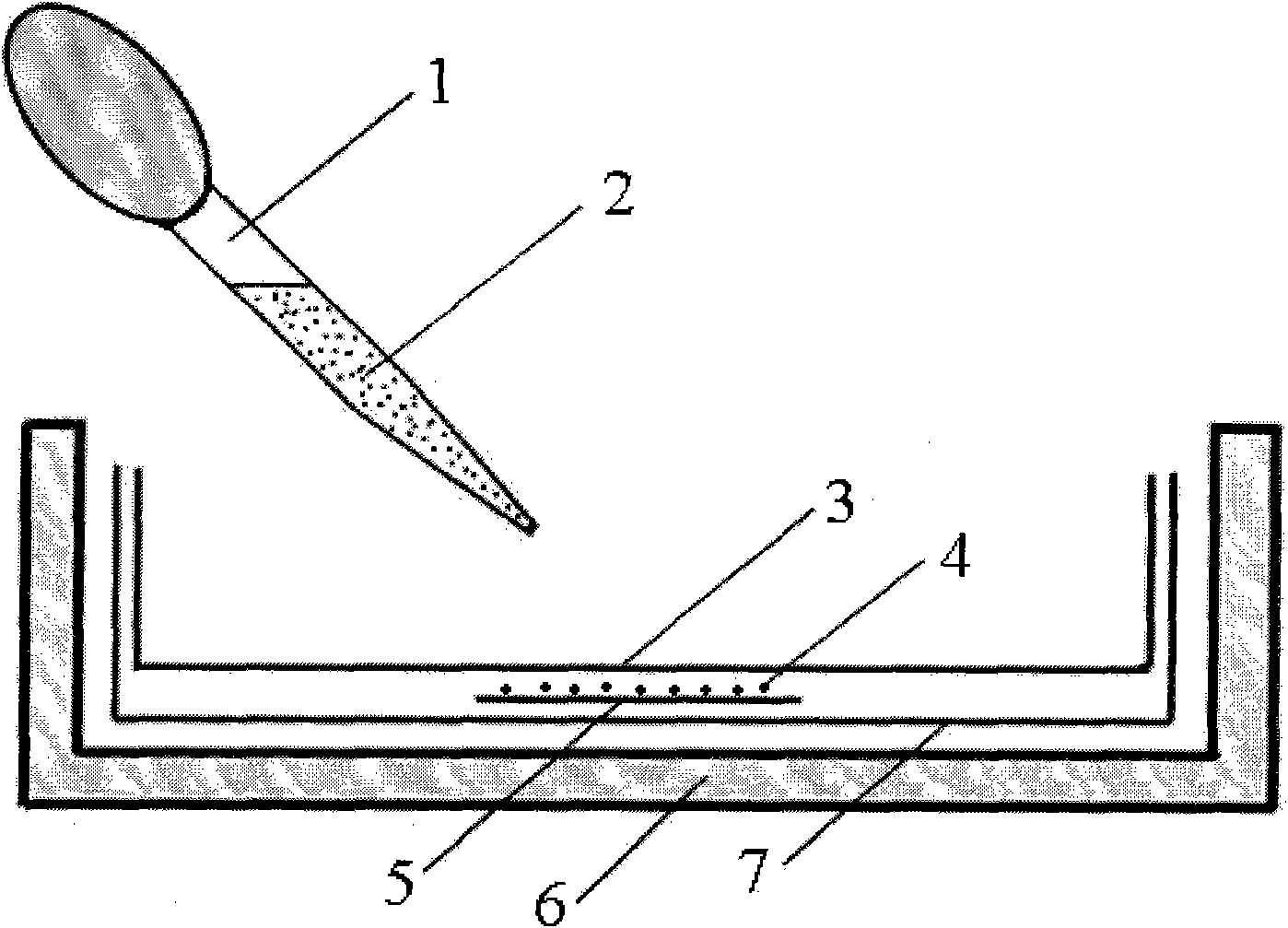 Method for AMF spore surface disinfection