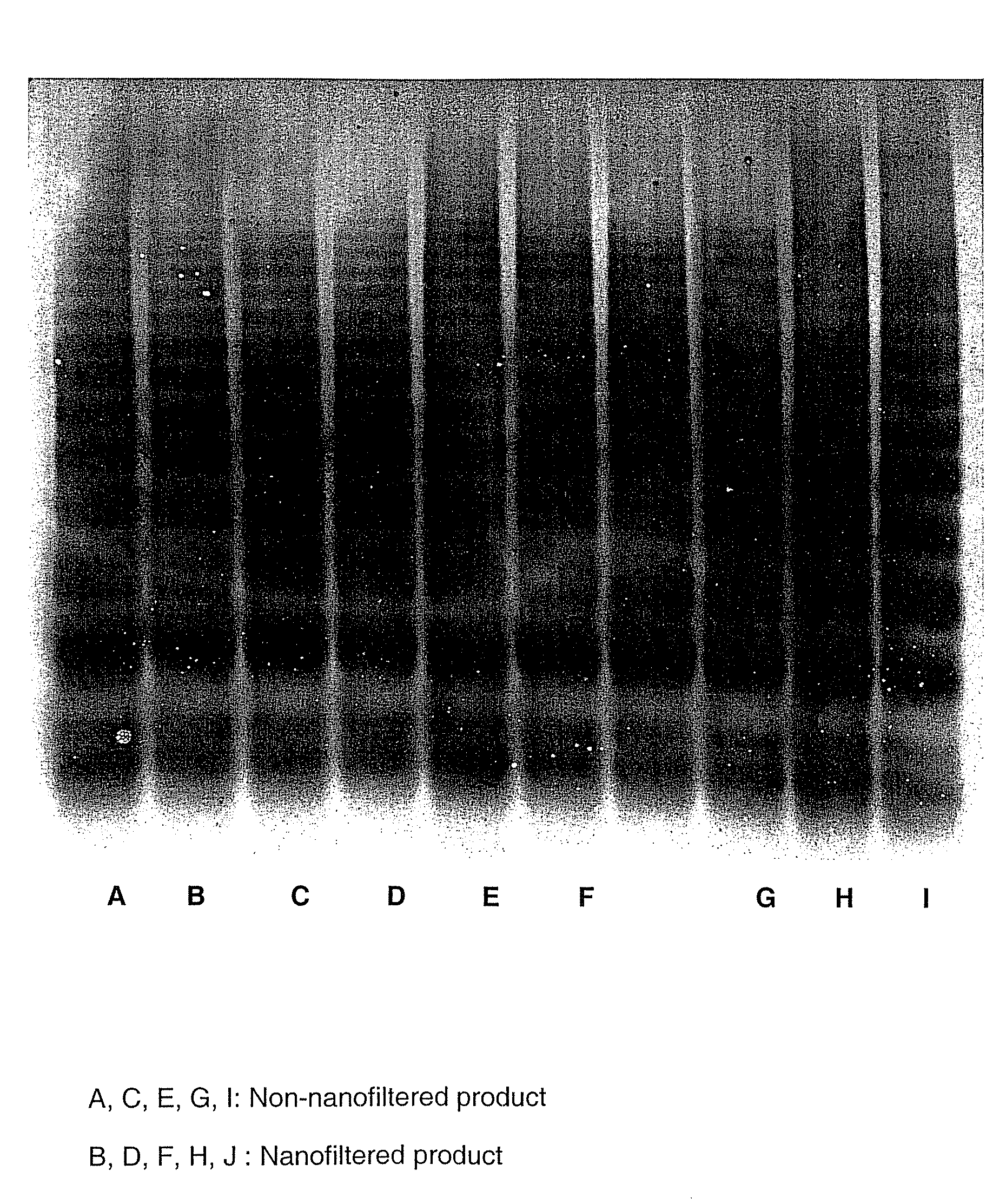 Process for obtaining a concentrate of Von Willebrand factor or a complex of factor VII/Von Willebrand factor and use of the same