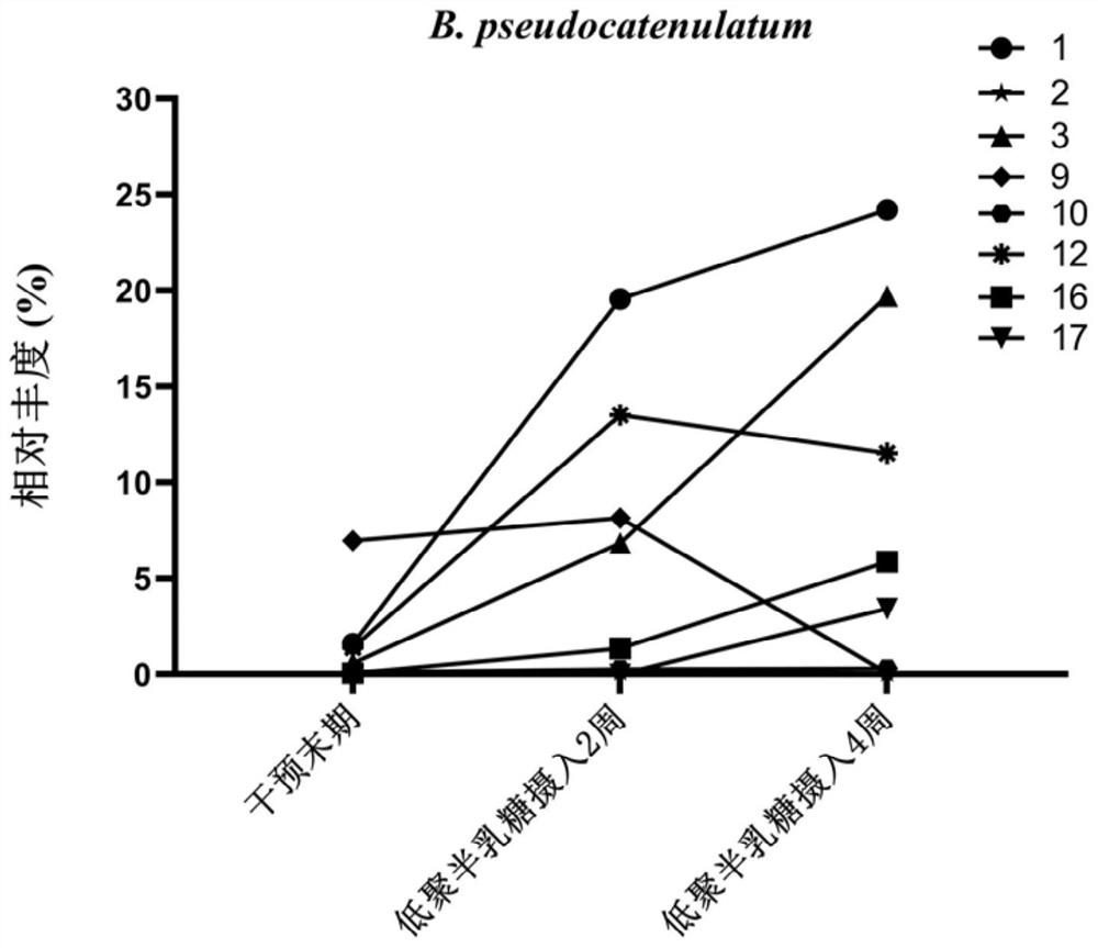 Bifidobacterium pseudocatenulatum capable of highly utilizing galactooligosaccharide and application of bifidobacterium pseudocatenulatum