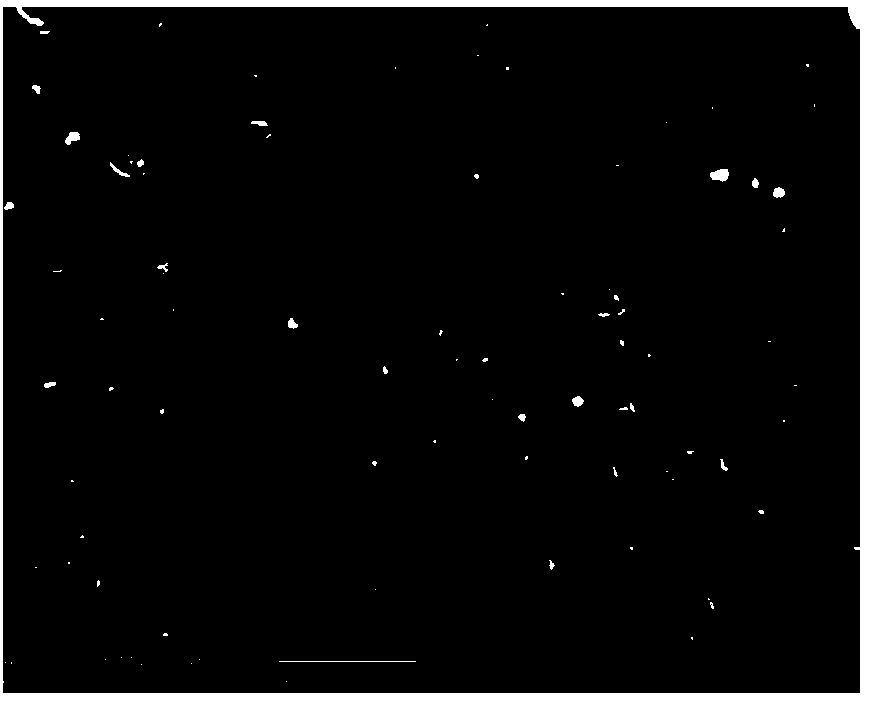 Photostimulation-responsive nanometer composite fiber and preparation method thereof