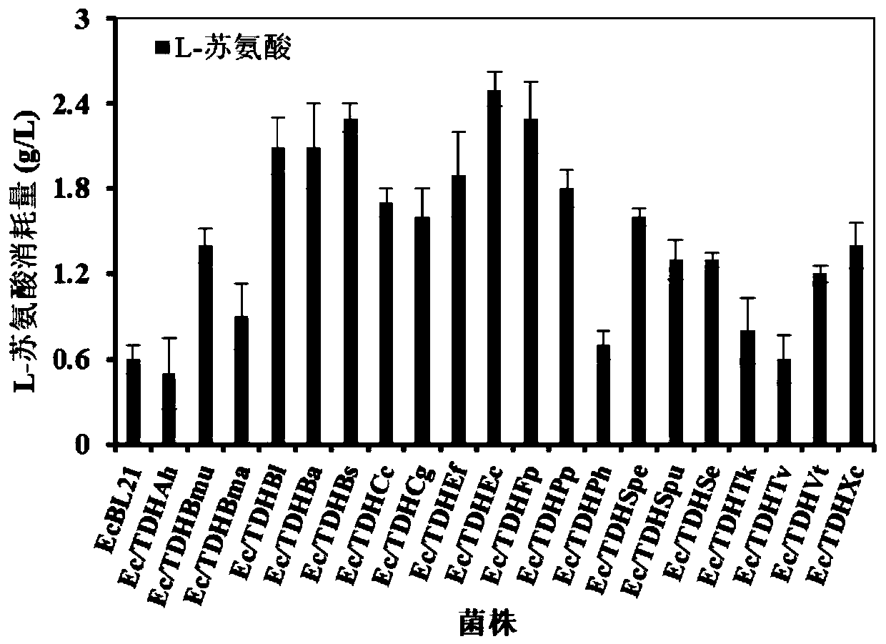 Plasmid for efficiently catalyzing L-threonine to synthesize 2, 5-DMP and construction and application of plasmid