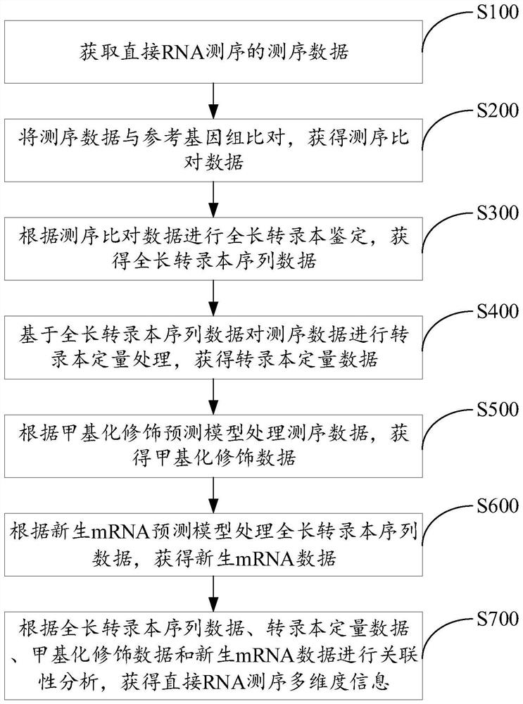 Multi-omics analysis method, system and equipment for direct RNA sequencing and storage medium