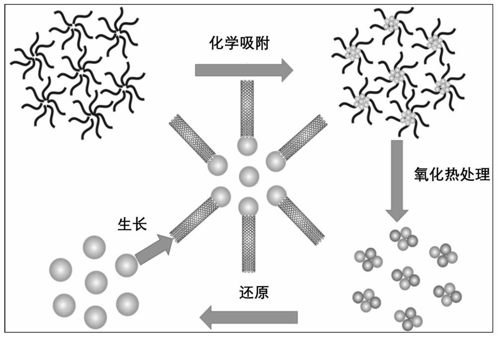 A method for controllable growth of metallic single-walled carbon nanotubes through substrate design