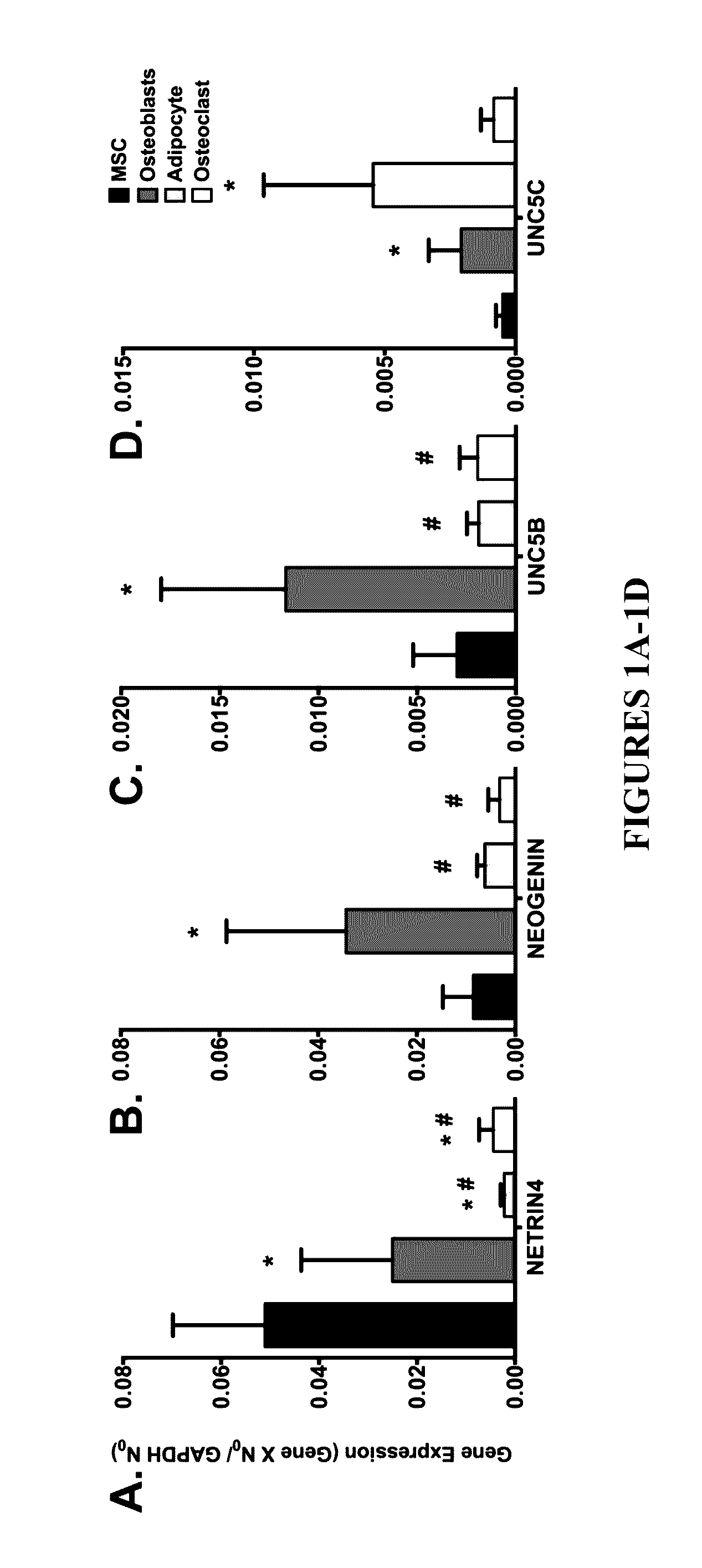 Neurogenic regulation of bone growth and bone degradation