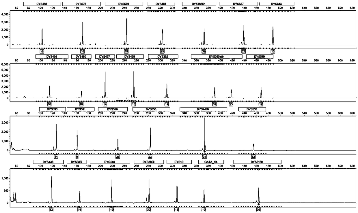 Primer set for identifying human Y chromosome typing, and applications, and product using primer set