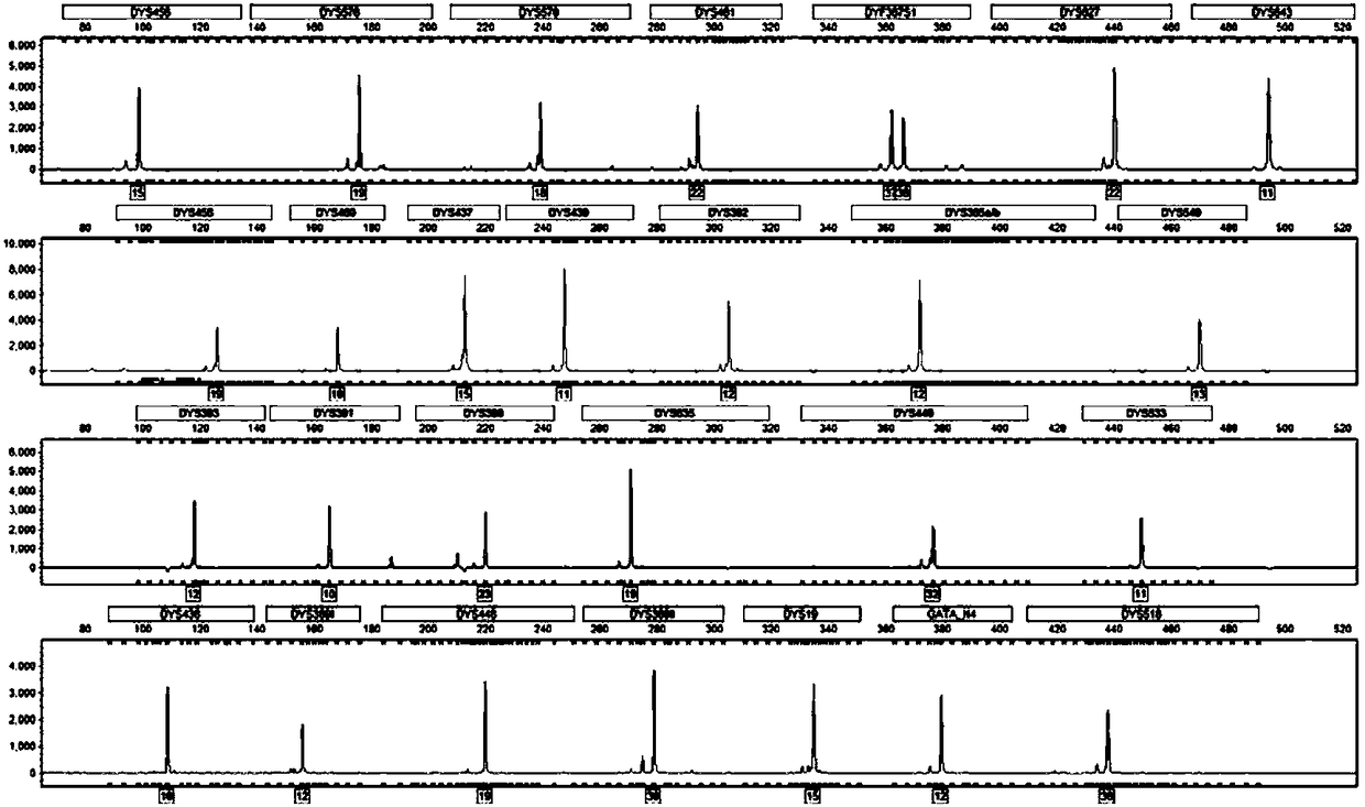 Primer set for identifying human Y chromosome typing, and applications, and product using primer set