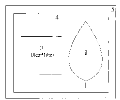 Nondestructive measuring method for leaf area of broad leaved plant