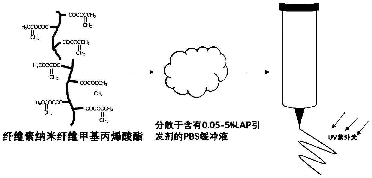 Preparation for direct writing forming 3D printing bioink, and 3D printing method capable of adopting direct writing forming 3D printing bioink