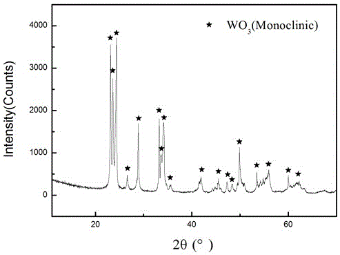Preparation method of monoclinic tungsten trioxide