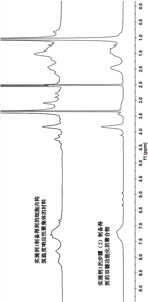 Material for constructing temperature-responsive aggregates in cells and preparation method and application of material