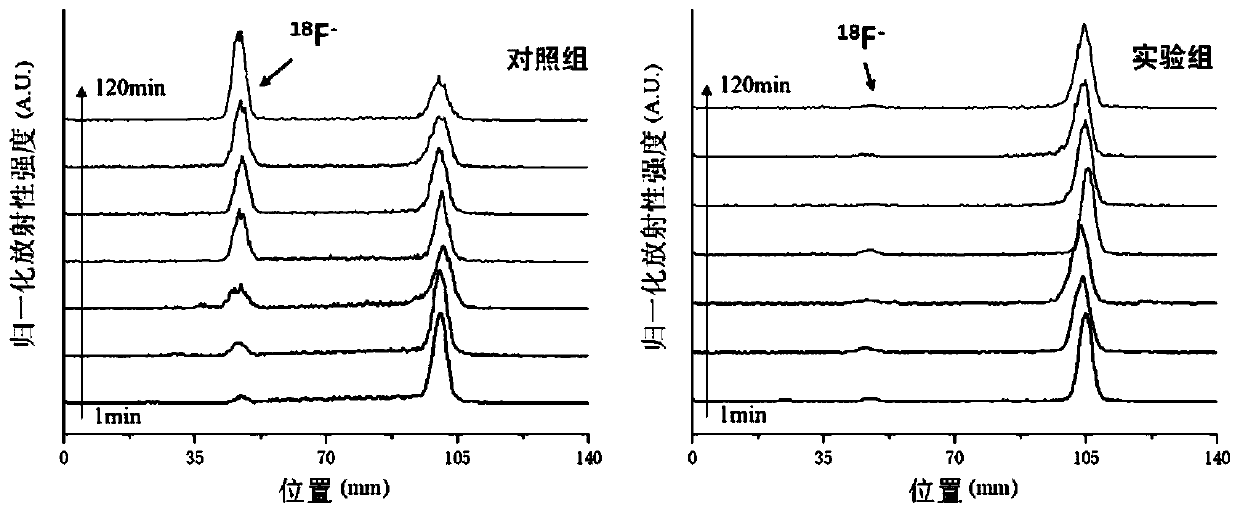 Glutamine boron trifluoride analogue with elongated carbon chain