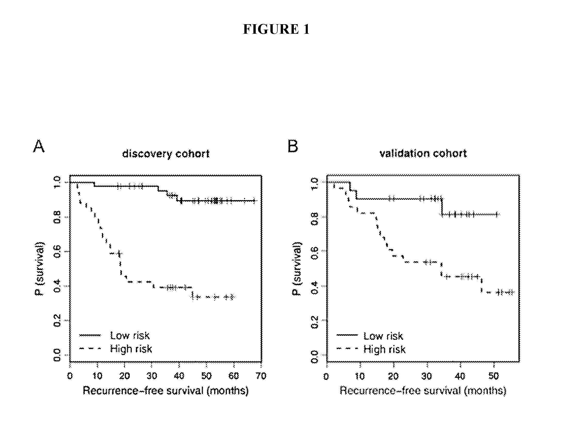 Sera Based miRNAs as Non-Invasive Biomarkers in Melanoma