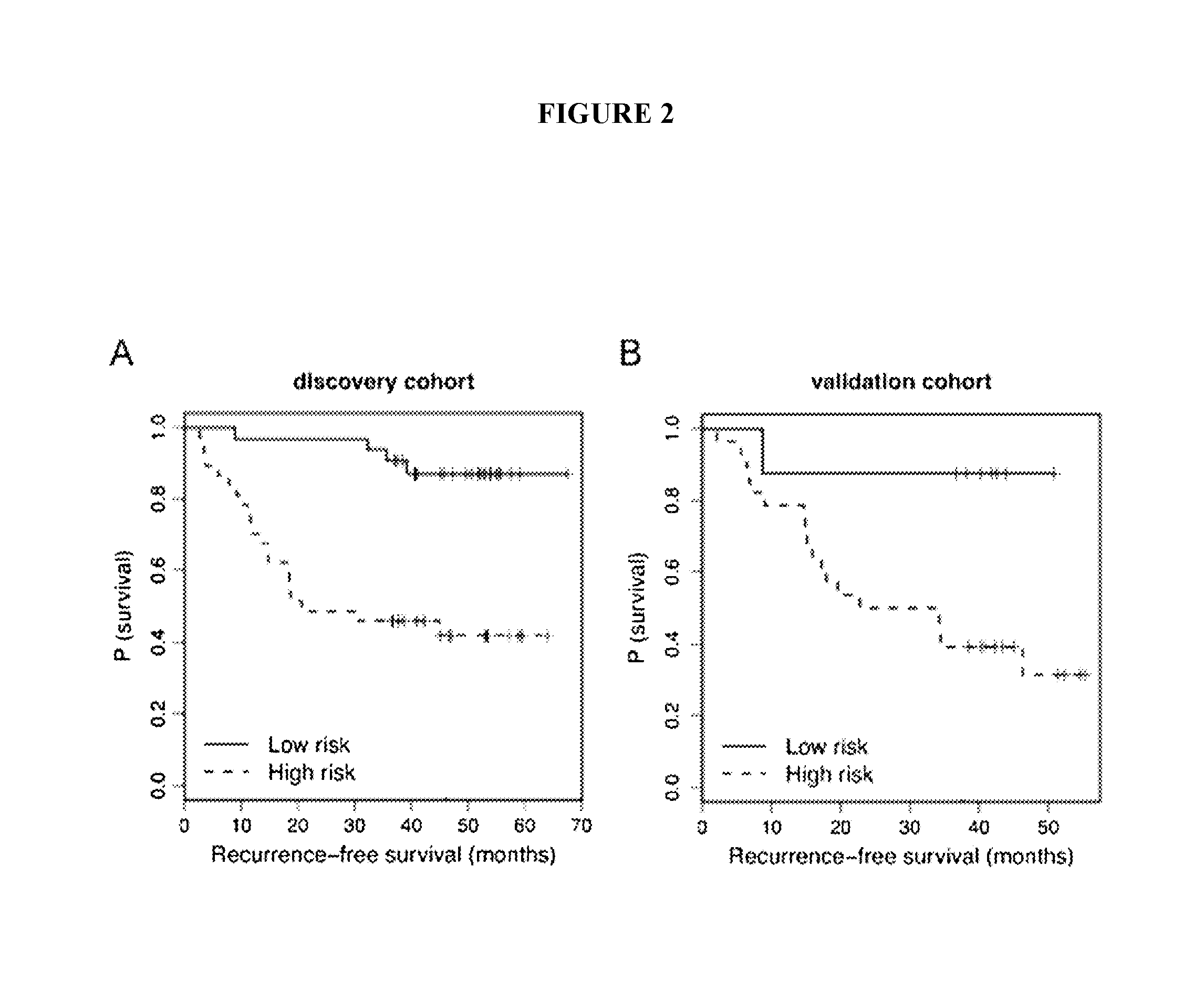 Sera Based miRNAs as Non-Invasive Biomarkers in Melanoma