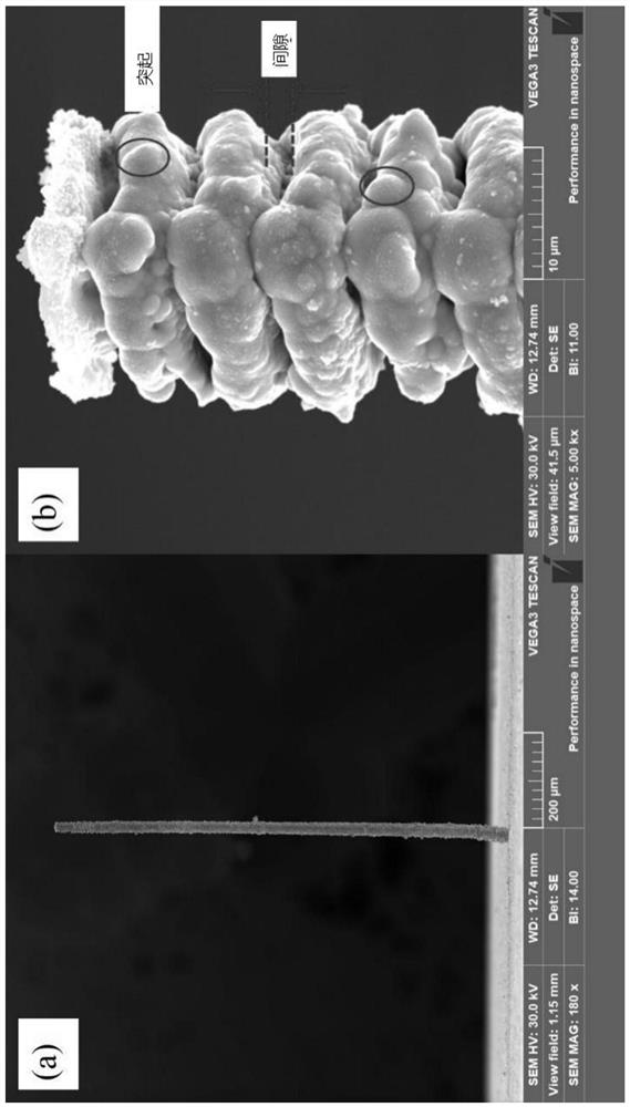 Microelectrode sensor for detecting staphylococcus aureus as well as preparation method and application method of microelectrode sensor