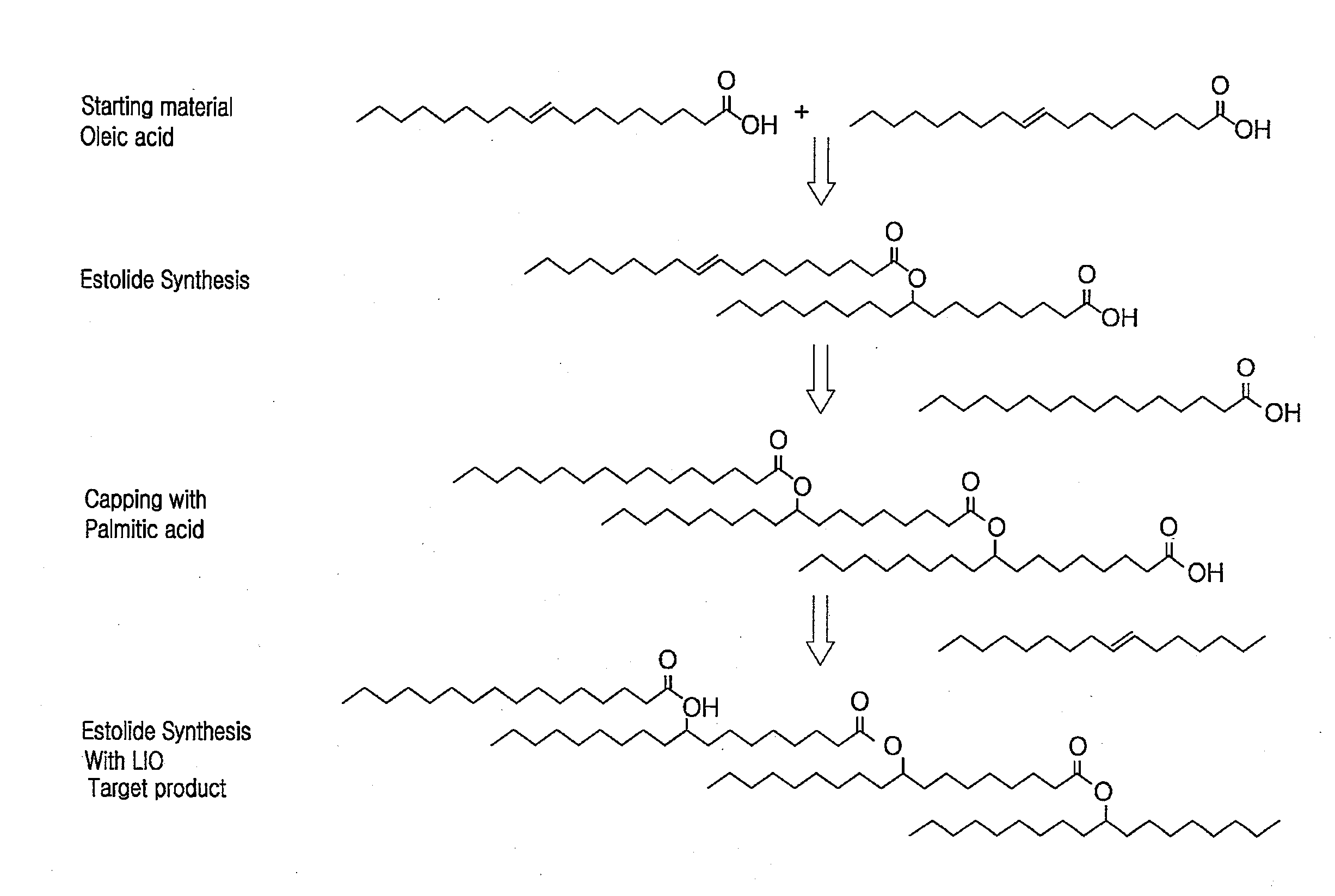 Estolide Compound and Method for Preparing the Same