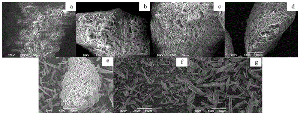 Gradient technology method for wet process phosphoric acid production