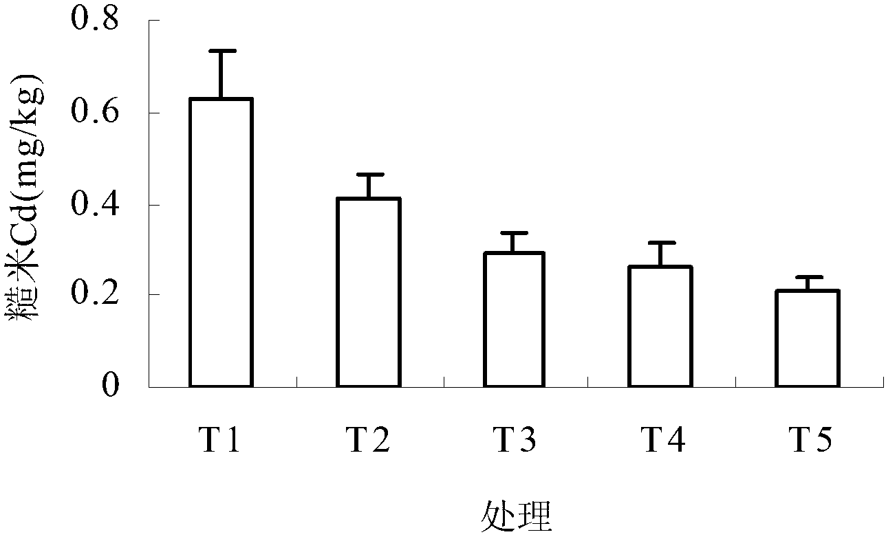 Combined prevention and control method for cadmium exceeding of rice in medium-light cadmium-polluted soil