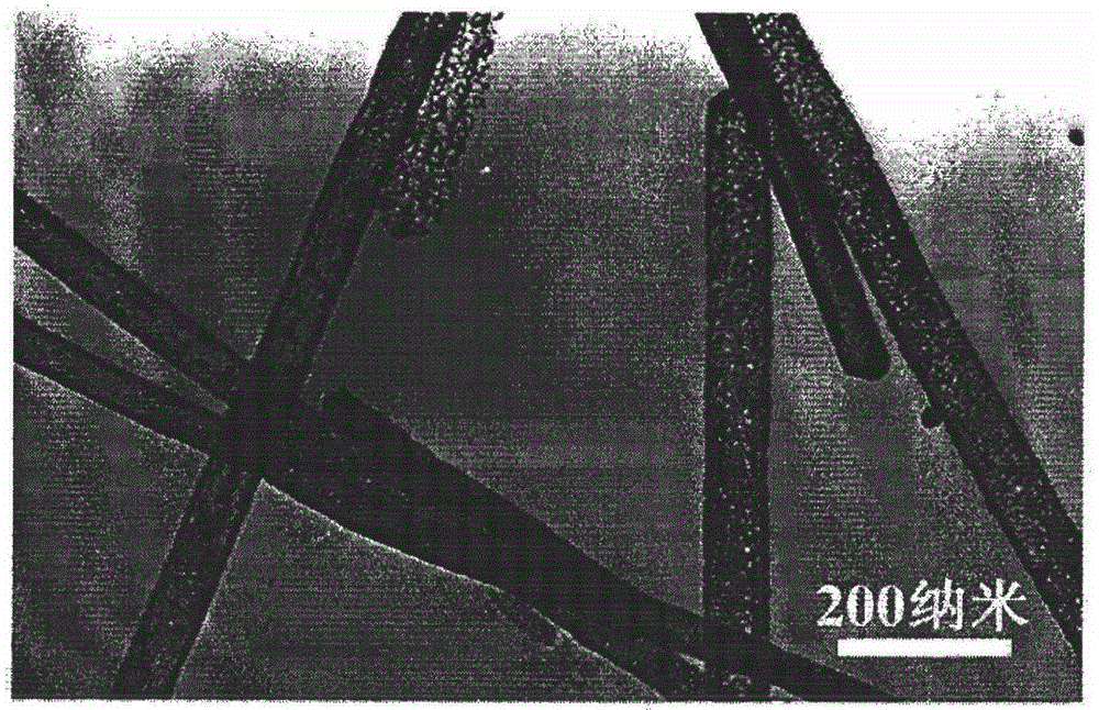 Gold nano material adopting porous tubular hollow structure and preparation method of gold nano material