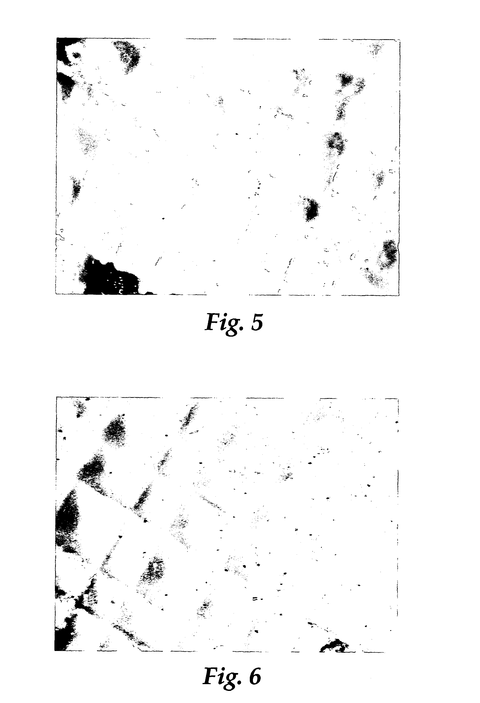 Compositions for abrasive articles