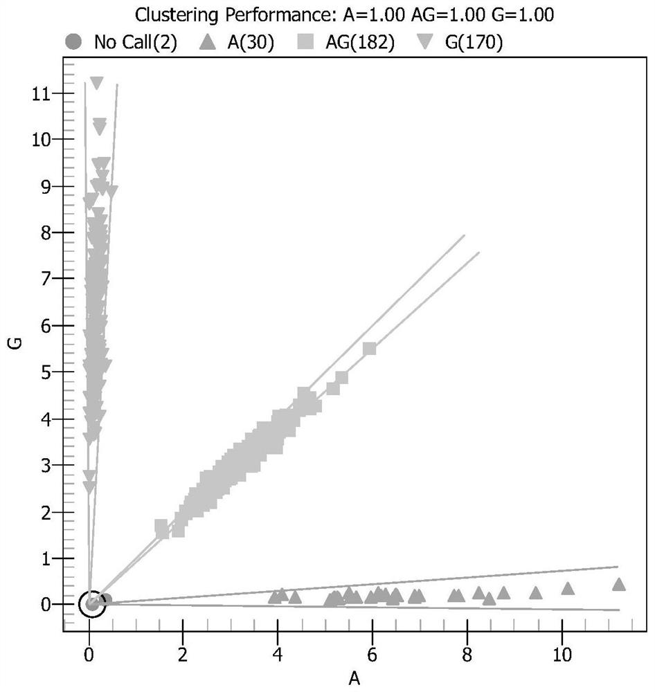 Special primers for detecting SNP sites of drug-resistance related genes for anticoagulant and antiplatelet medication