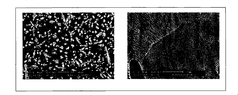High strength low melting-temperature alloy and manufacturing method thereof