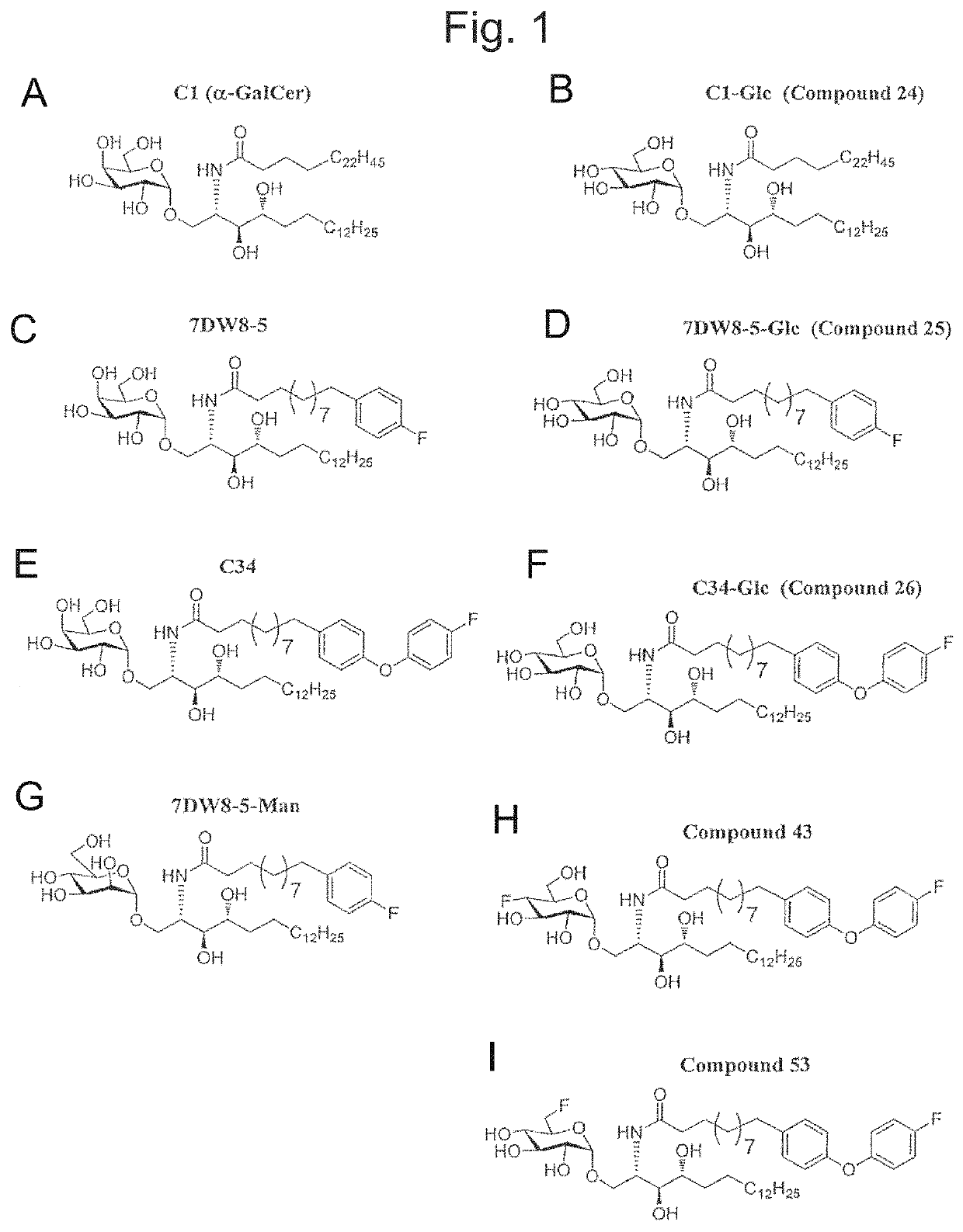 Human iNKT cell activation using glycolipids