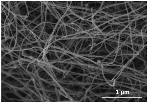 Full-spectrum response bismuth oxide/silver phosphate/carbon nanotube sponge composite photocatalyst for drilling waste liquid treatment and preparation method and application thereof
