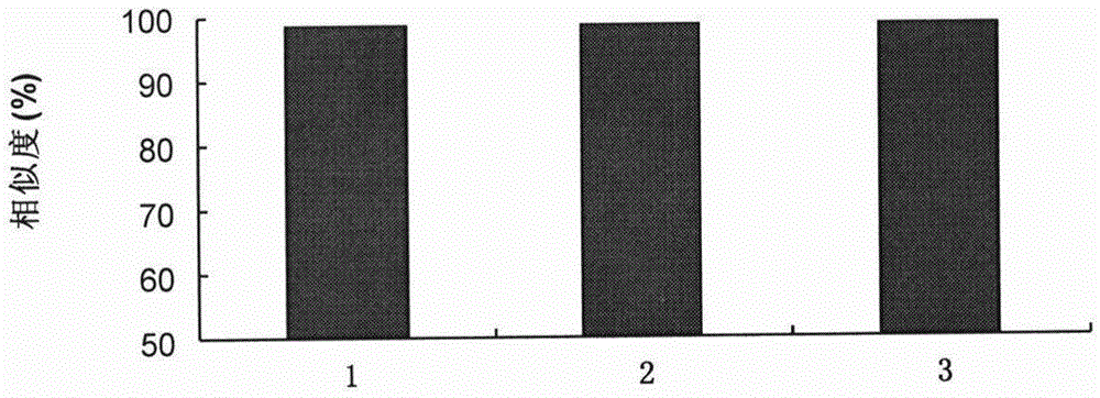 Construction method and application of electrochemical fingerprint of tea