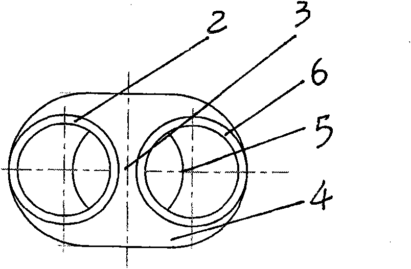 Manifold and manufacturing process thereof