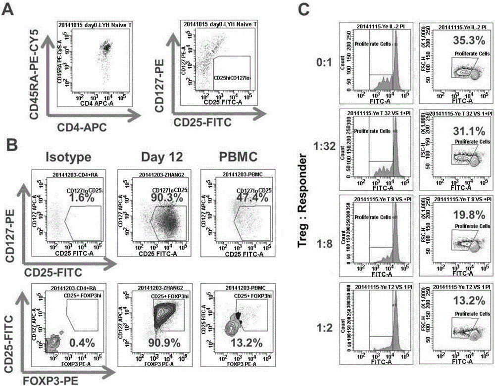 Kit for induced amplification of regulatory T cells from naive T cells