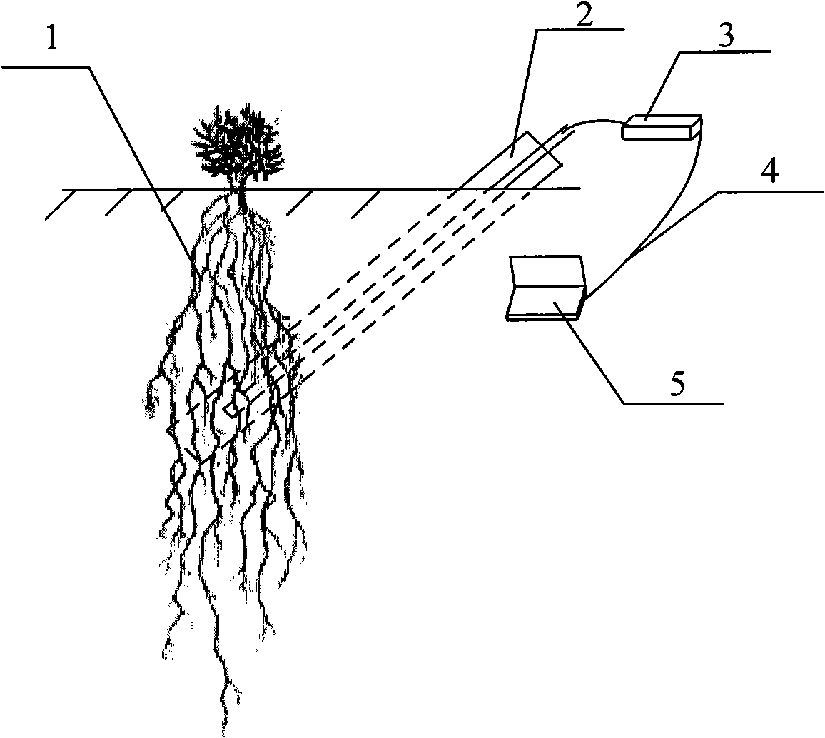 Plant root system monitoring system based on hyperboloidal mirror