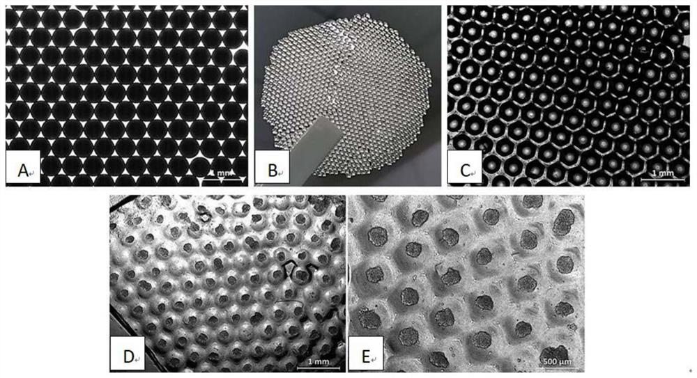 Preparation method of culture substrate for batch production of 3D cell spheres