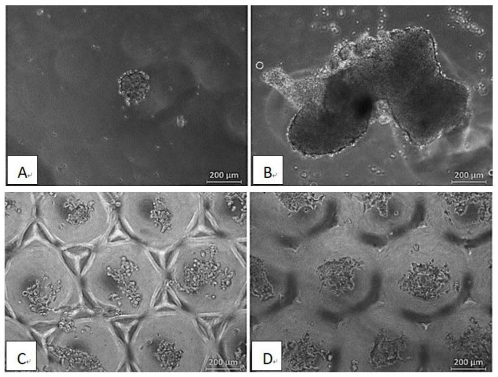Preparation method of culture substrate for batch production of 3D cell spheres