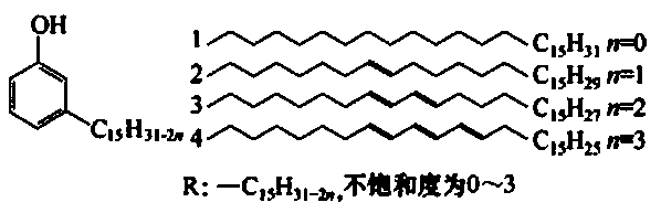 Cardanol/epoxy acrylate composite resin for three-dimensional laser printing and preparation method