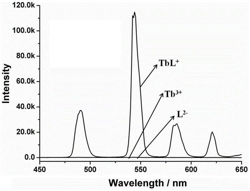 Amphiphilic Tb (III) complex, preparation method thereof and preparation method and application of fluorescent nano-fibers