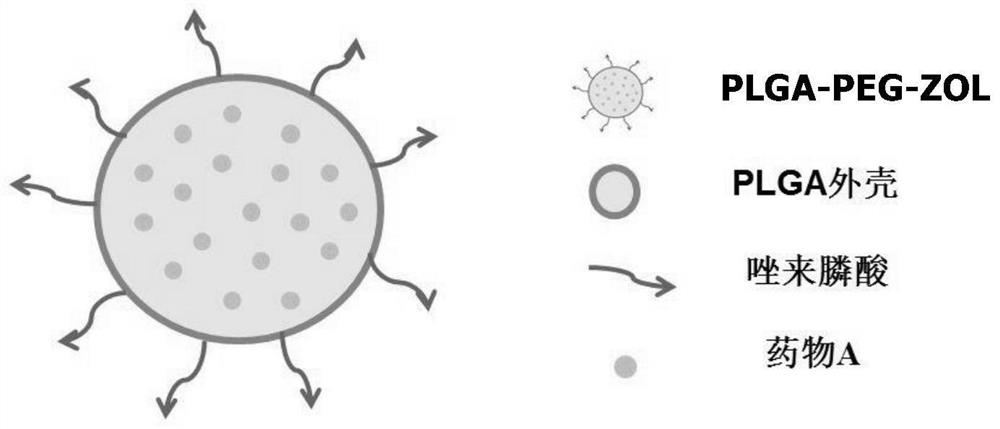 A kind of plga-peg-zol drug-loaded nanomaterial specifically targeting bone tissue and its preparation method