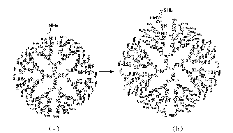 schistosomiasis japonica arborization carrier-DNA vaccine and preparation method thereof