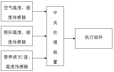 Production method for biological source theanine raw material