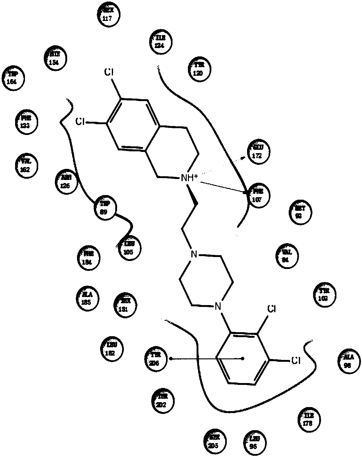 Benzo-aza-alkyl aryl piperazine derivative and applications in preparation of drugs