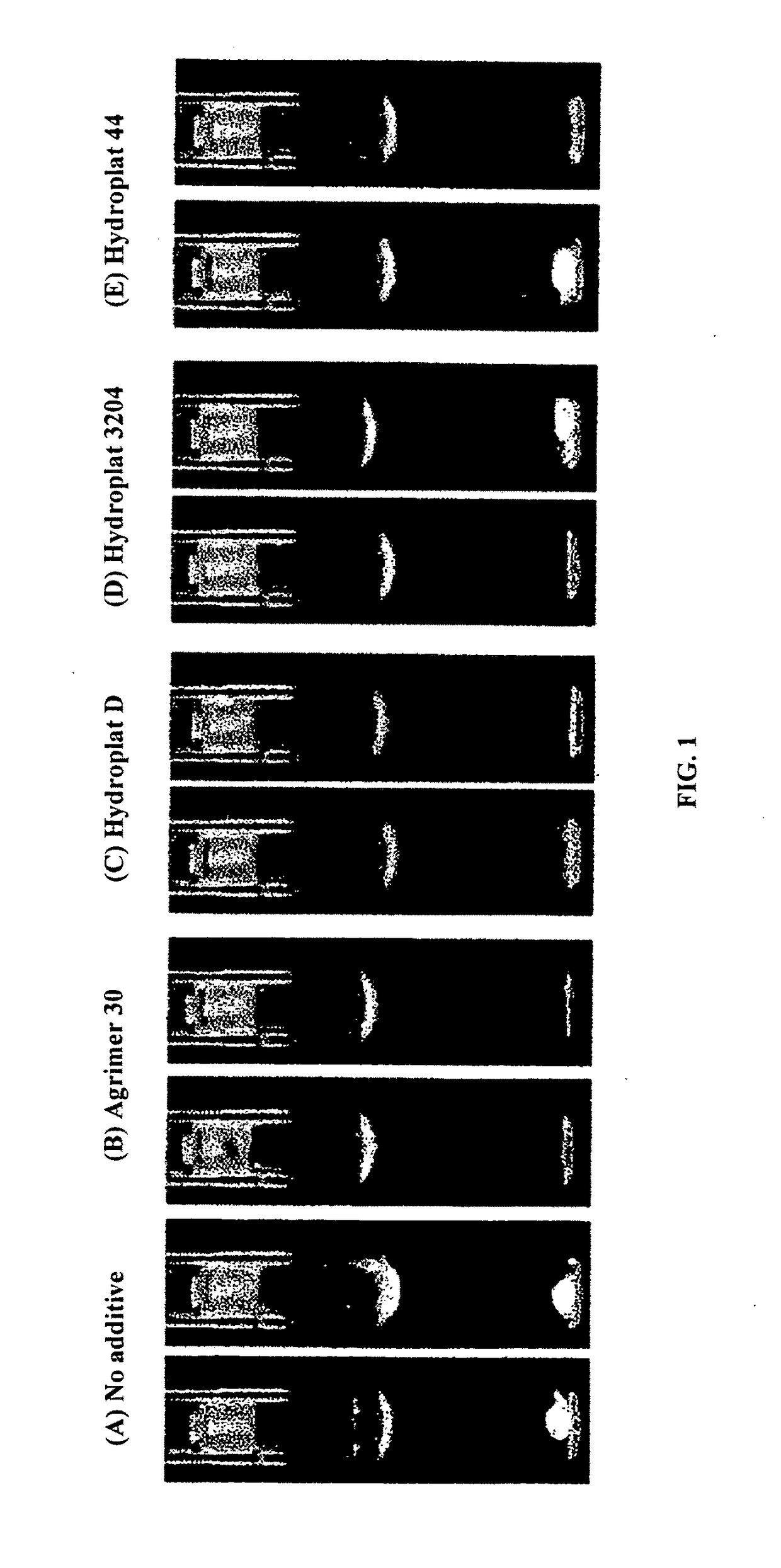 Nitrification inhibitor compositions and methods for preparing the same