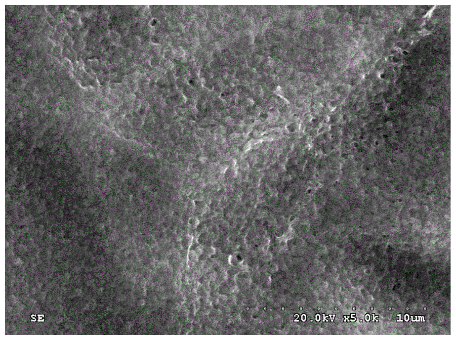 Preparation method of flexible composite catholyte with high conductivity