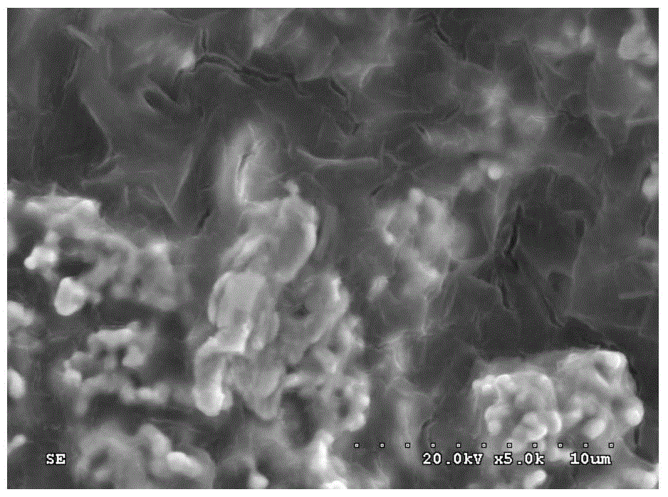 Preparation method of flexible composite catholyte with high conductivity