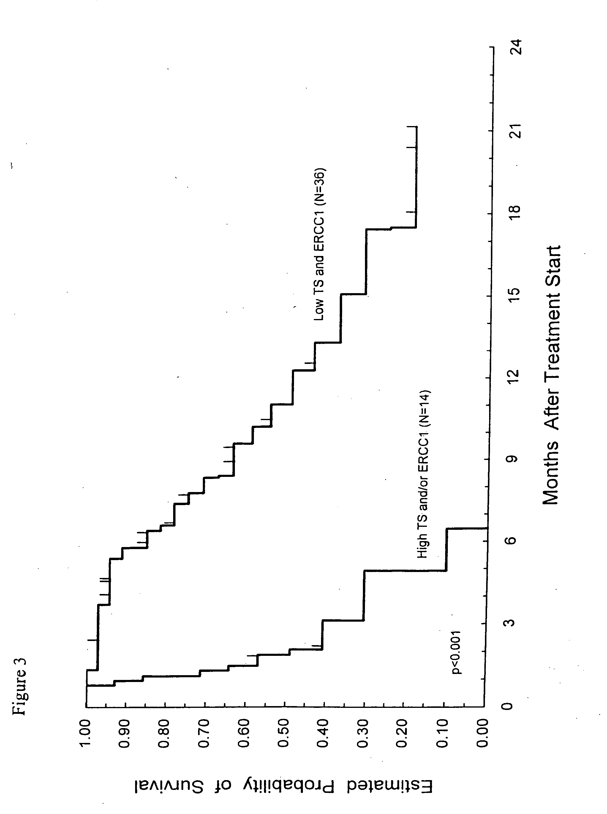 Method of determining a chemotherapeutic regimen based on ERCC1 and TS expression