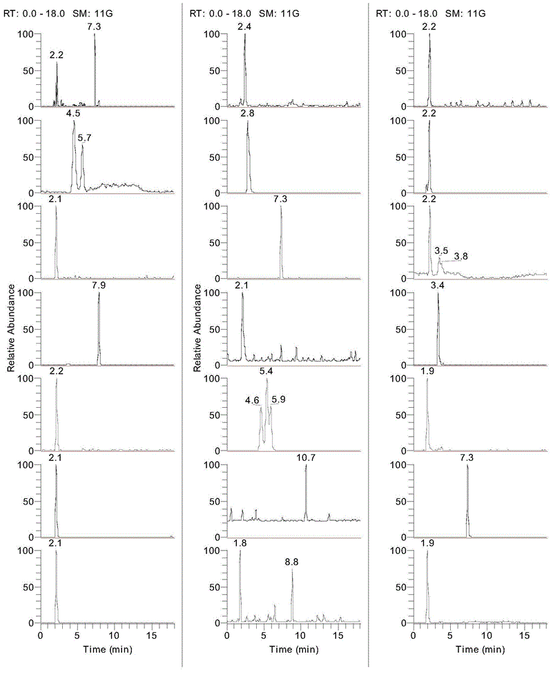 Extraction and analysis method for free amino acid and fatty acid in adherent cells