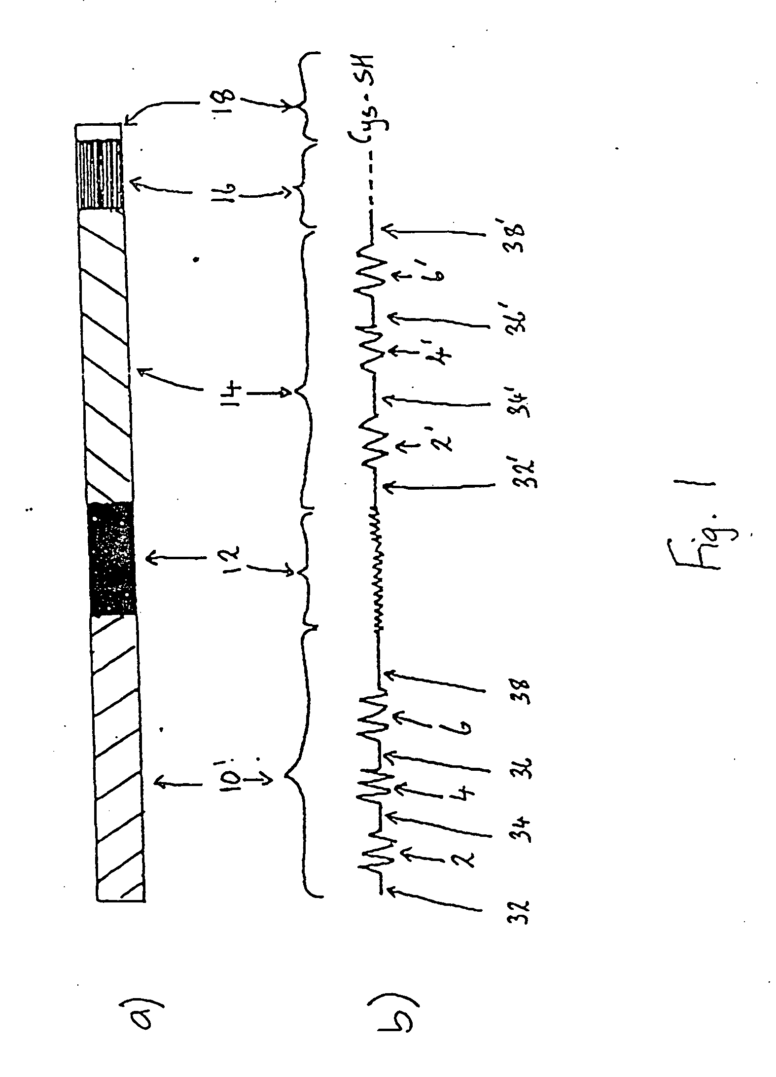 Biosynthetic binding proteins for immuno-targeting